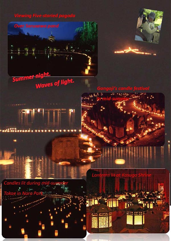 Four Seasons in Nara for summer #2